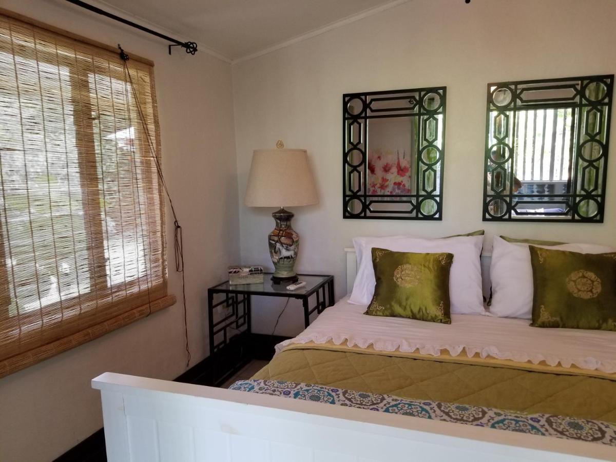 Casa Sophia 3 Listings Apartment 1 Or Apartment 2 Separately Or Apt 1 And 2 Together All With Fo Internet Guápiles Екстериор снимка