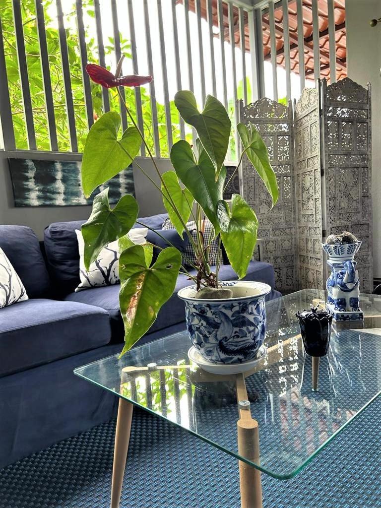 Casa Sophia 3 Listings Apartment 1 Or Apartment 2 Separately Or Apt 1 And 2 Together All With Fo Internet Guápiles Екстериор снимка