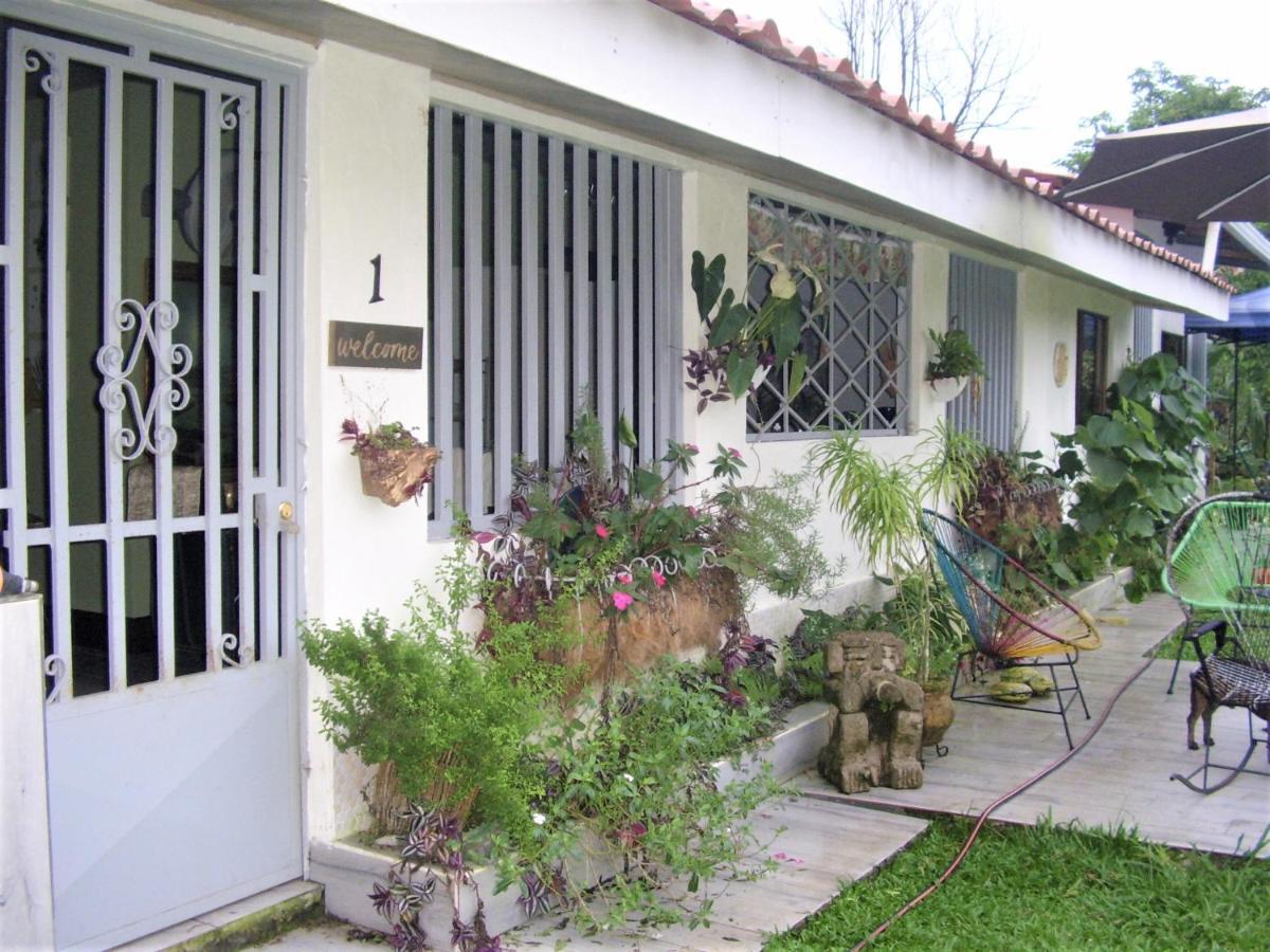 Casa Sophia 3 Listings Apartment 1 Or Apartment 2 Separately Or Apt 1 And 2 Together All With Fo Internet Guápiles Екстериор снимка